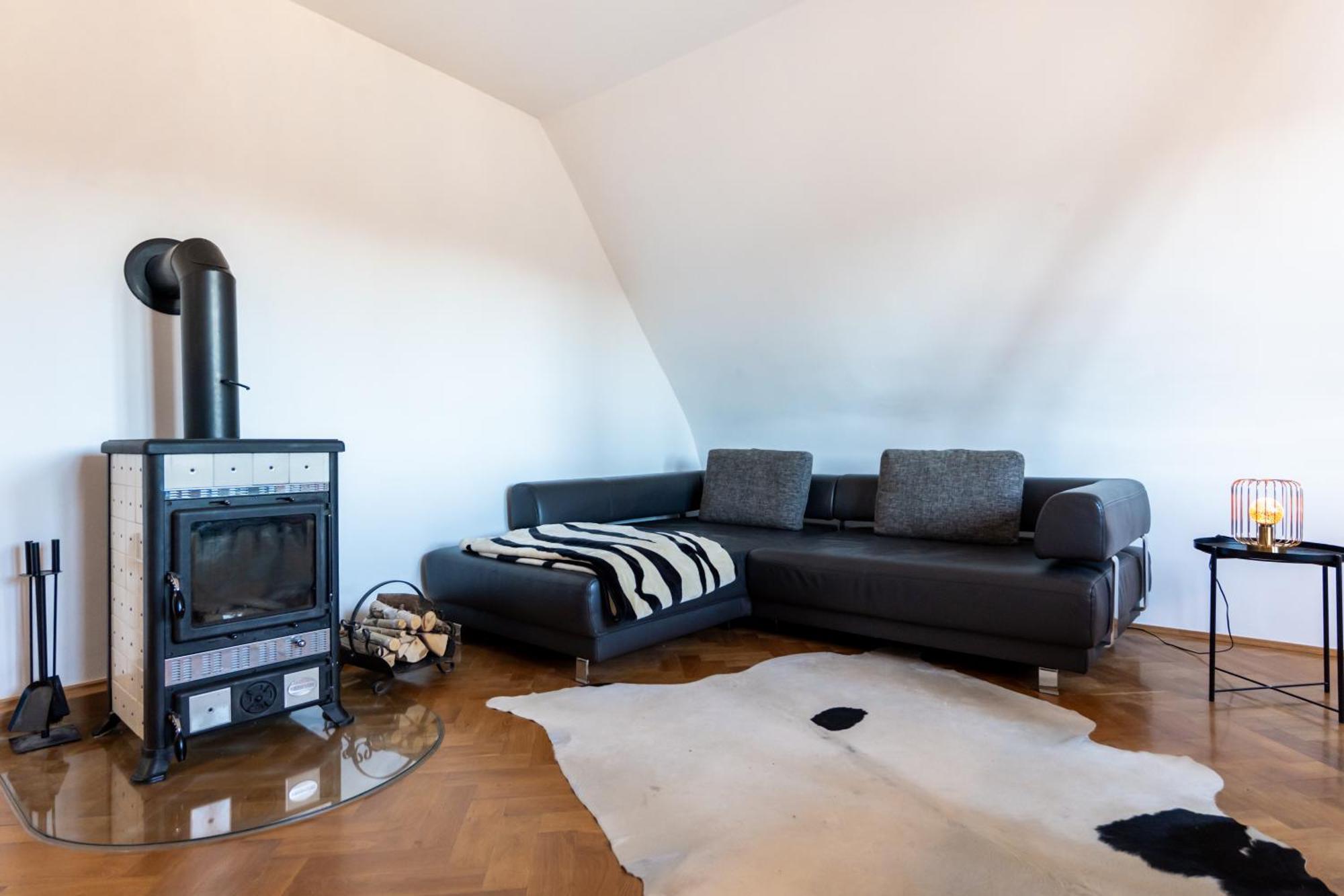 Doppelhaus- Villa Leipzig Schleussig , Moderner Altbau Apartment Dachetage Mit 2 Schlafzimmern Und Separatem Zusatzzimmer , Parkplatz - Balkon - Kamin - Eicheparkett - Arbeitsplatz Exterior foto